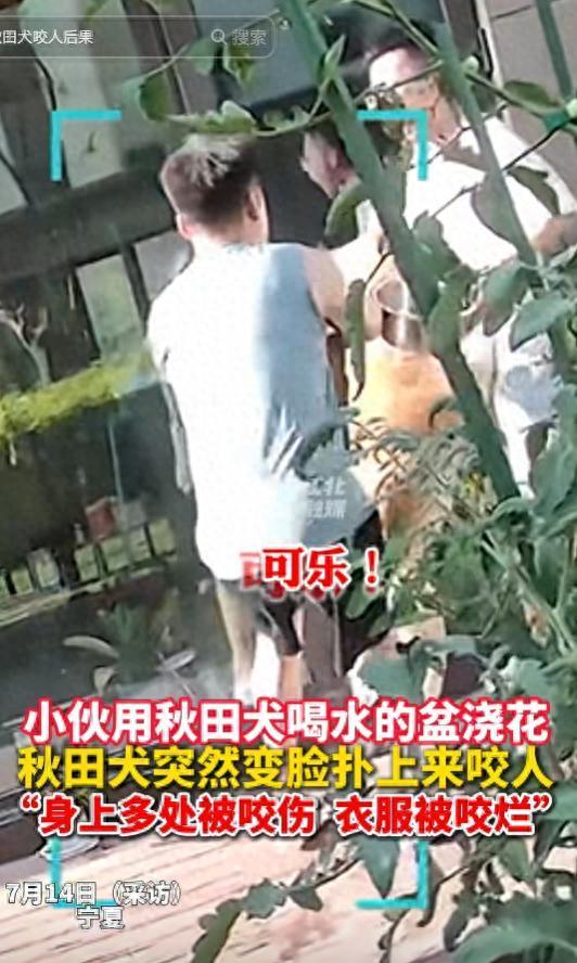 无锡恒鑫配资 朋友用狗喝水的盆浇花被狗撕咬 主人透露更多