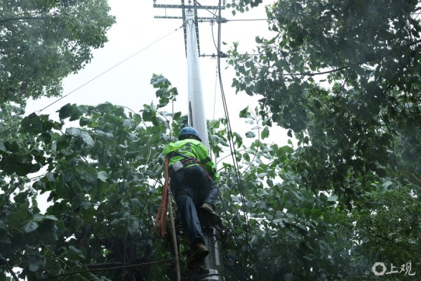 垒富配资 浦东一高压架空线因台风遭雷击断线，供电全力抢修已恢复