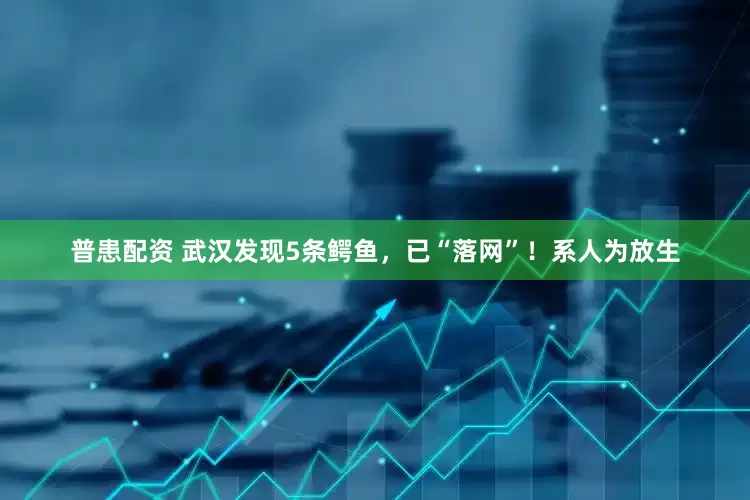 普患配资 武汉发现5条鳄鱼，已“落网”！系人为放生